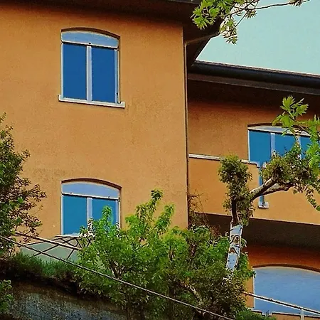 Lavanda
